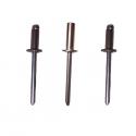 Stainless Steel Rivets